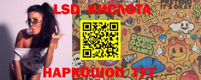 PSILOCYBIN Заводоуковск