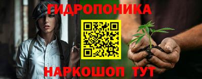 PSILOCYBIN Заводоуковск