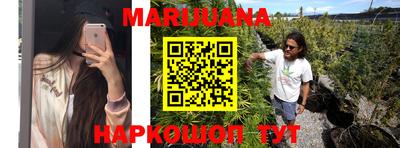 PSILOCYBIN Заводоуковск