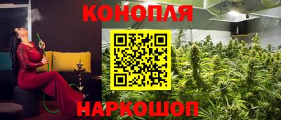 гидропоника Жуковский