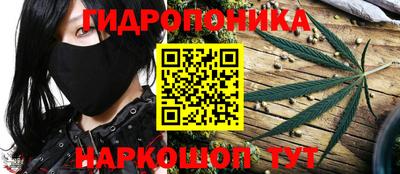 PSILOCYBIN Заводоуковск